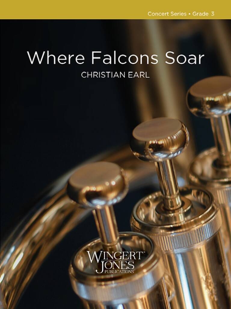 Where Falcons Soar